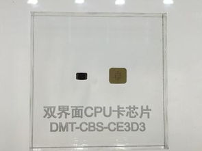 大唐微電子與晶科微電子 創(chuàng)新科技亮相2017第九屆深圳國際物聯(lián)網(wǎng)博覽會(huì)